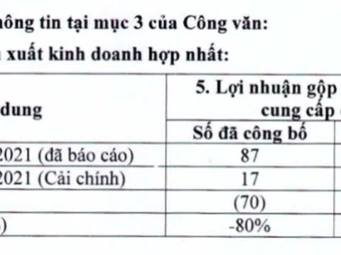 Những khoản lỗ trăm tỷ gây bất ngờ của doanh nghiệp họ FLC