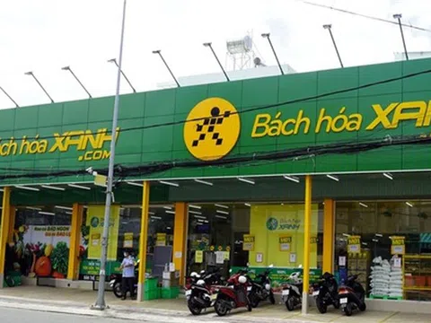 Bách Hóa Xanh của đại gia Nam Định đóng cửa hơn 300 của hàng