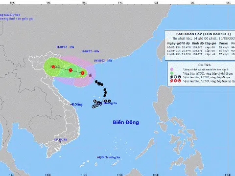 Nhiều chuyến bay bị hủy do ảnh hưởng của bão số 2