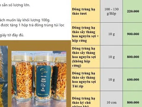 Chuyên gia chỉ sự thật về Đông trùng hạ thảo giá vài trăm nghìn