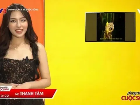 Hot Tiktoker "trứng rán" Trần Thanh Tâm bất ngờ nhận vai trò mới trên VTV