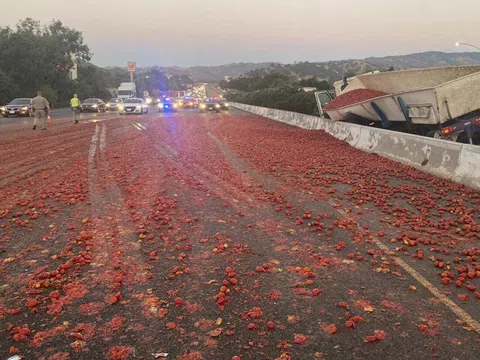 Xe tải lật nghiêng khiến hơn 150.000 quả cà chua rơi xuống, "nhuộm đỏ" một khoảng đường cao tốc