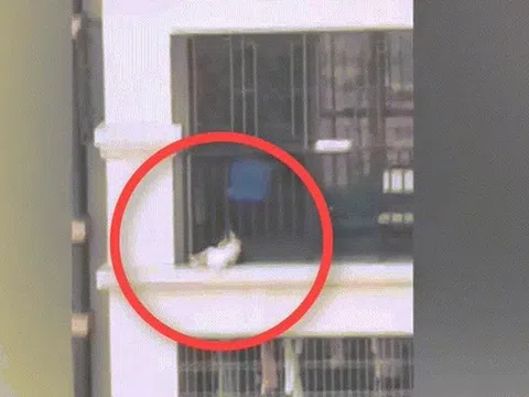 Chàng trai bất chấp nguy hiểm cứu em bé bị kẹt đầu ở lan can ban công tầng 7