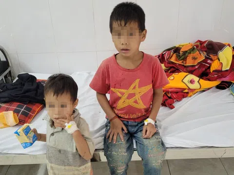 Vụ 3 bố con ở Nghệ An ngộ độc do ăn trứng cóc: Hai bệnh nhân đã ổn định