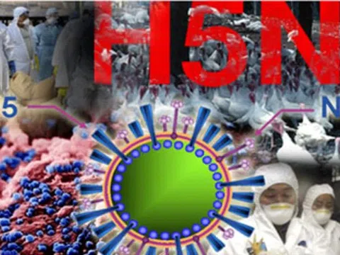 Biểu hiện nghi ngờ mắc cúm A/H5N1 ở người và cách phòng chống