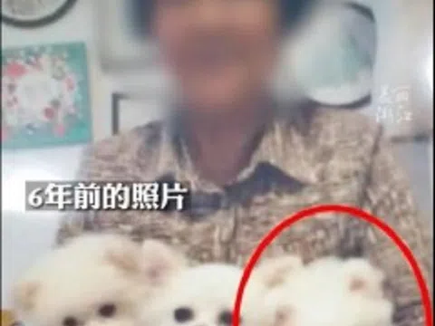 Người đàn ông ngỡ ngàng khi chó cưng bất ngờ trở về sau 6 năm mất tích