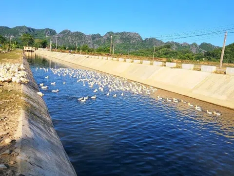 Thanh Hóa: Nhảy xuống mương nước cứu bạn, nam sinh lớp 5 đuối nước thương tâm