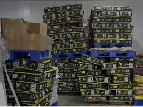 Đồng Nai: Phát hiện hơn 25 tấn thực phẩm không rõ nguồn gốc