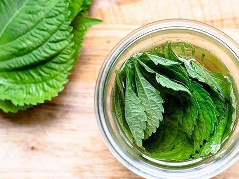 Loại rau thơm quen thuộc bán đầy chợ, ăn vào đẹp da, ngừa ung thư