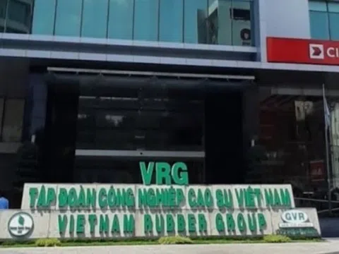 Tập đoàn Công nghiệp Cao su Việt Nam (VRG): Lãi ròng sụt giảm và khoản đầu tư 1.163 tỷ đồng vào chứng khoán