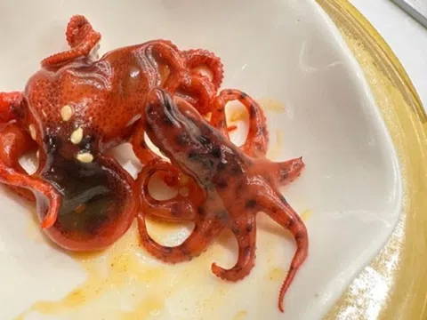 Thực khách suýt ăn món sushi bạch tuộc chứa chất kịch độc