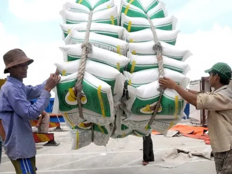Xuất khẩu gạo của Việt Nam trong quý I/2023 thắng lợi lớn