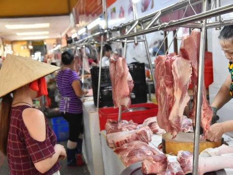 Giá lợn hơi tăng nhẹ, người chăn nuôi chưa có lãi nên ngại tái đàn