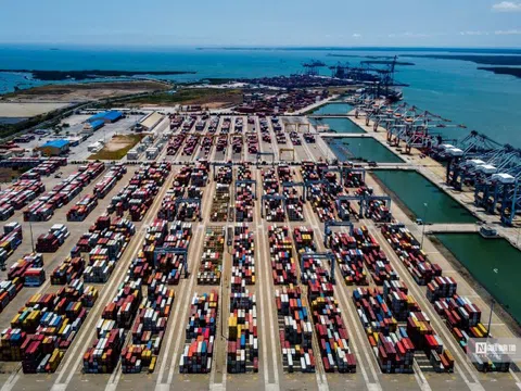 Lợi nhuận quý I/2023 của Container Việt Nam giảm 61%