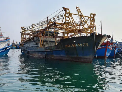 Bình Thuận: Nhiều biện pháp ngăn chặn khai thác hải sản bất hợp pháp