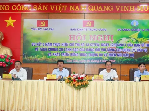 Để tài nguyên rừng trở thành động lực phát triển kinh tế quan trọng