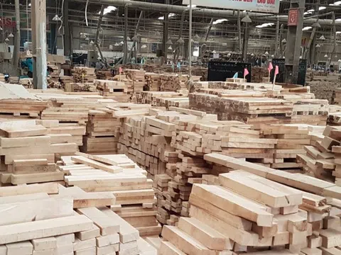 Đã hoàn 19.100 tỷ đồng thuế Giá trị gia tăng với mặt hàng gỗ