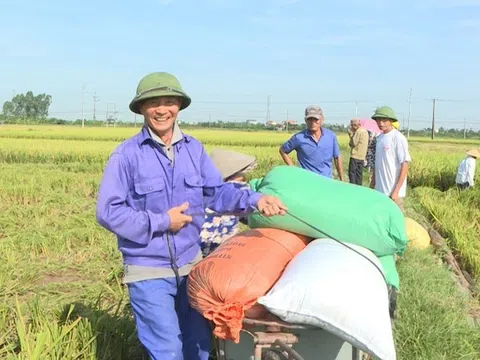 Việt Nam thúc đẩy xuất khẩu gạo sang thị trường châu Phi