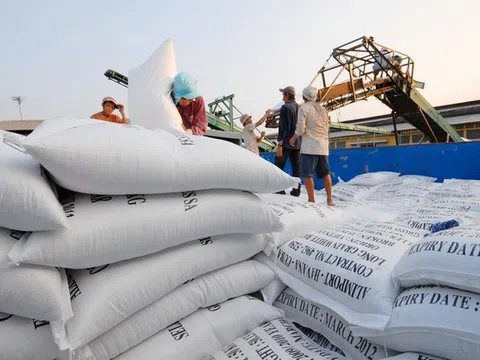 Xuất khẩu gạo Việt Nam: Những con số và bài toán bền vững