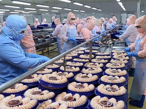 Thị trường nội địa: "Điểm tựa" vững chắc khi xuất khẩu gặp khó