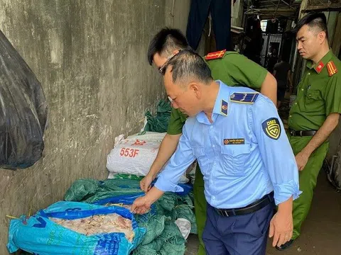 Hà Nội: Tiêu hủy gần 1 tấn cánh gà đông lạnh đang có dấu hiệu phân hủy