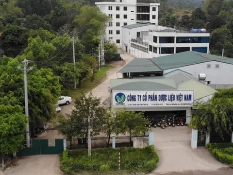Công ty CP Dược liệu Việt Nam bị xử phạt 60 triệu đồng