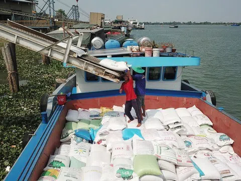 Trung Quốc đang tăng cường mua gạo Việt Nam
