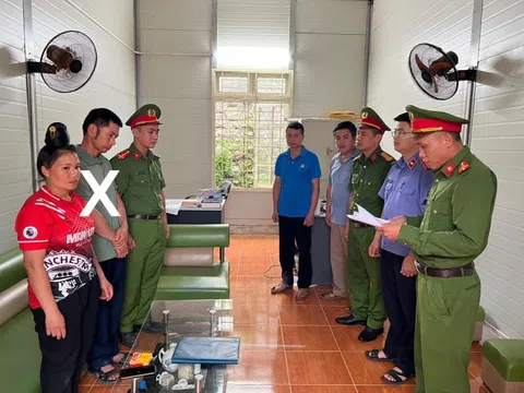 Khởi tố trưởng bản hủy hoại rừng lấy đất trồng cây cà phê