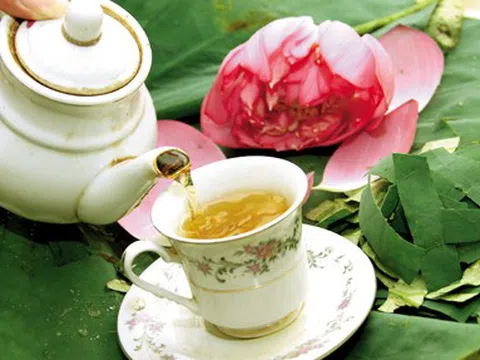 Trà lá sen tốt nhưng nhóm người này nên tránh xa kẻo rước họa vào thân