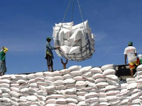 Giá gạo Việt Nam xuất khẩu tăng 9%, điểm sáng trong bức tranh xuất khẩu