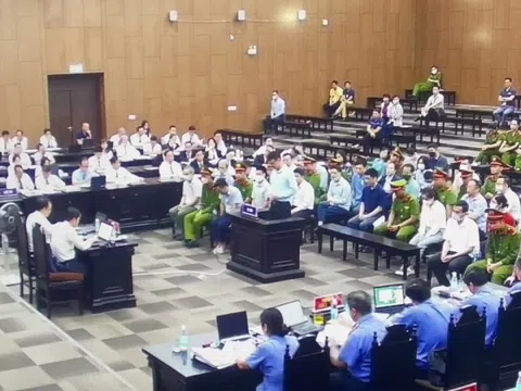 Cựu đại sứ Trần Việt Thái nói bị tố cáo do "đạp đổ nồi cơm của cò mồi"