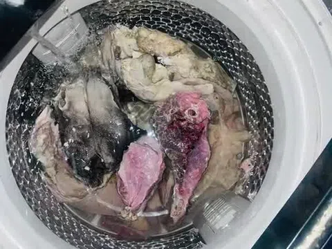 Dùng máy giặt để rửa thịt sống, cô gái khiến cư dân mạng "khóc thét"
