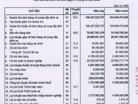 Tập đoàn Meey Land của ông Hoàng Mai Chung: Vốn chủ sở hữu 30 tỷ đồng, nợ phải trả lên tới hơn 590 tỷ đồng