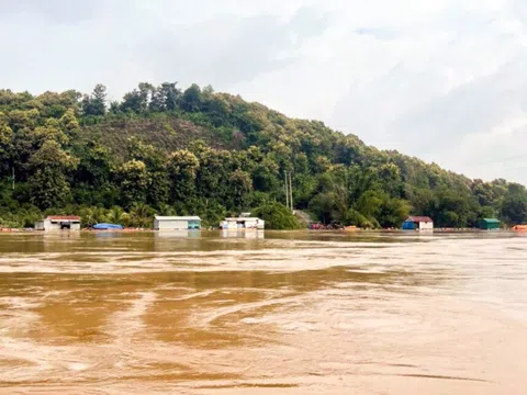 Đồng Nai: Mưa lớn gây ngập lụt tại huyện Tân Phú và Định Quán