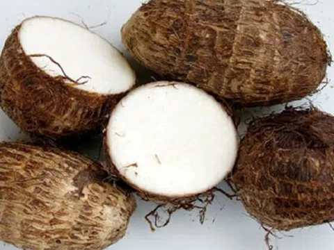Loại củ trông xấu xí nhưng tốt cho tiêu hóa, phòng chống ung thư cực hiệu quả