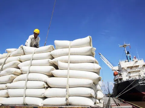 Thị trường gạo toàn cầu “nóng” bởi thông tin cấm xuất khẩu gạo của nhiều nước