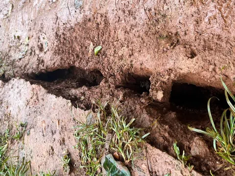 Đắk Nông: Xuất hiện thêm một số vị trí đất nứt gãy, có nguy cơ sạt lở