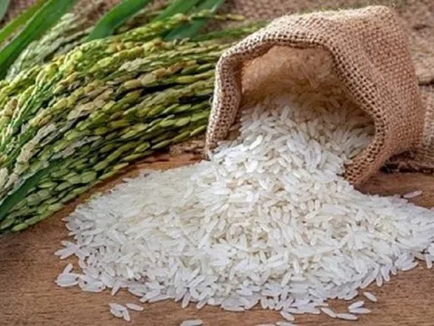 Cổ phiếu công ty gạo bứt phá, tăng giá gần gấp 3 sau tin Ấn Độ cấm xuất khẩu