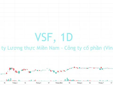 Lỡ “đu” trần phiên sáng, nhà đầu tư cổ phiếu VSF lỗ 30% trong phiên chiều