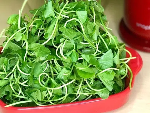 Nước ép rau má tốt đến mấy, những nhóm người sau cũng tuyệt đối không dùng