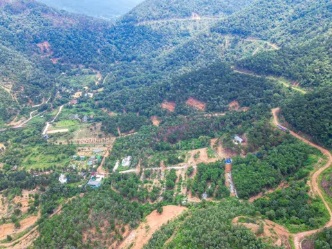 Rừng Sóc Sơn bị "xẻ thịt": Sẽ phá dỡ 5 công trình xây dựng trái phép