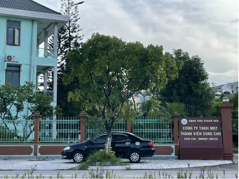 Loạt người nhà Chủ tịch giữ các chức vụ quan trọng, Công ty Sông Chu nói gì?