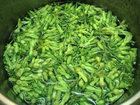 Loại rau quen thuộc của người Việt, giúp giảm đau đầu "nhanh gấp tỷ lần" thuốc
