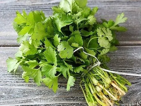Loại rau "nhỏ nhưng có võ” làm thuốc chữa bệnh, thường có trong mâm cơm của người Việt