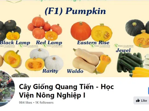 HTX Vân Đài có dấu hiệu mạo danh Học viện Nông nghiệp Việt Nam