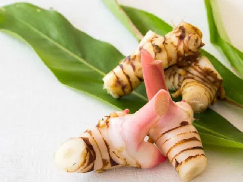 Loại củ "hiếm có khó tìm" trên thế giới, chống cả ung thư, Việt Nam trồng đầy vườn