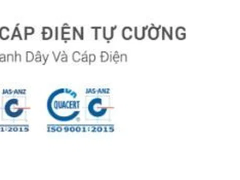 Công ty Cổ phần Cáp điện Tự Cường và mối quan hệ zích zắc với nhà thầu Tuấn Ân Hà Nội