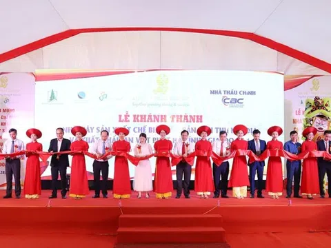 An Việt Phát Group: Hệ sinh thái nghìn tỷ của ‘nữ hoàng rơm rạ’ Bùi Thị Lan