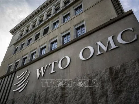 Trung Quốc khởi kiện Mỹ tại WTO