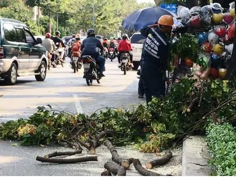 Cô gái bất động giữa đường phố Sài Gòn vì họa `trên trời` ập xuống